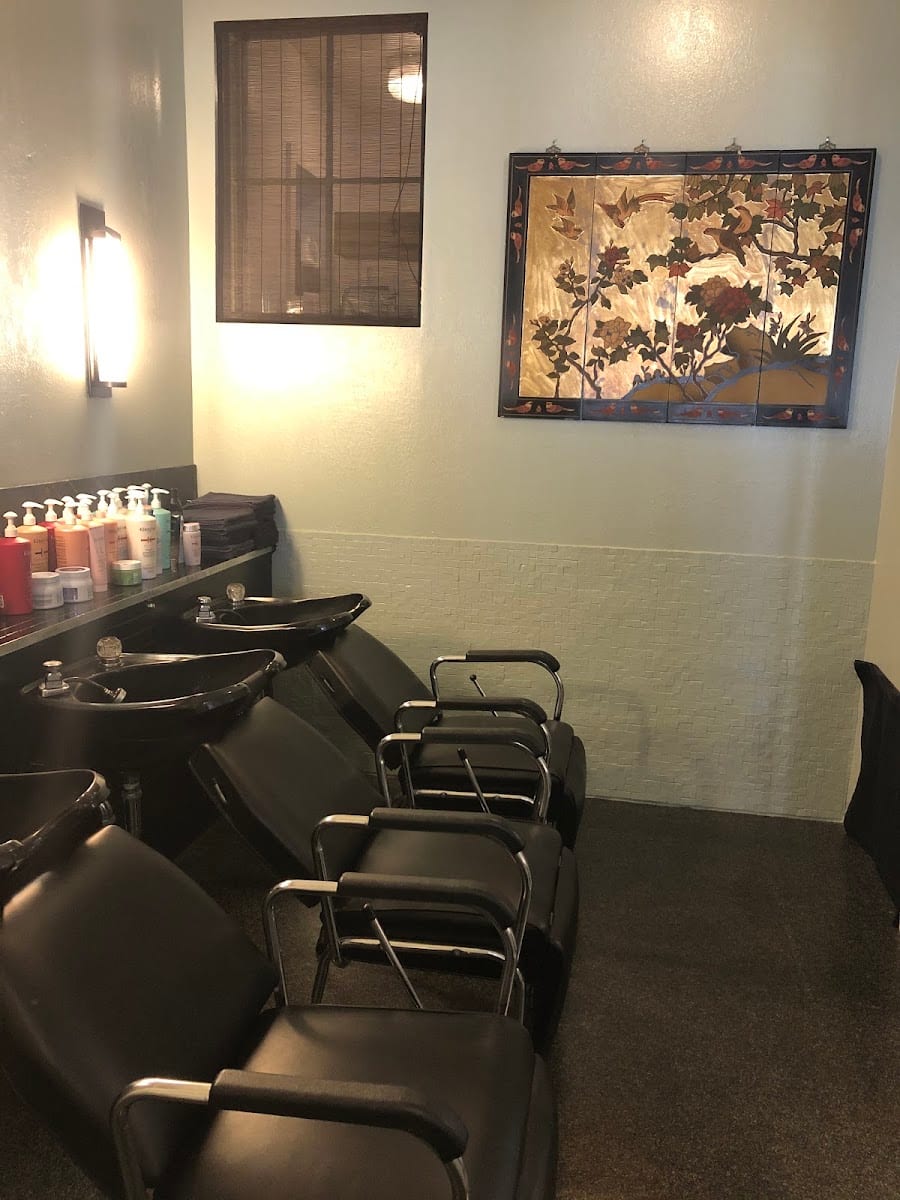 Noe Valley Salon - Hair & Skincare