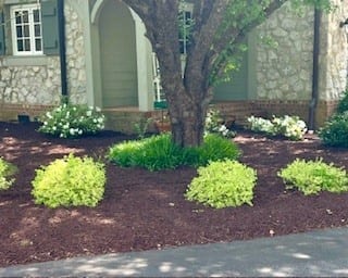 Southern Visions Lawn & Landscape, LLC, photo 3