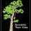 Ascending Tree Care