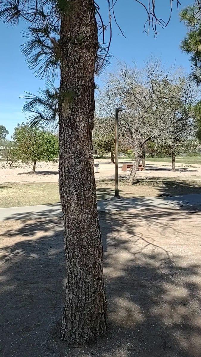 Morris K Udall Park and Recreation Center, photo 3