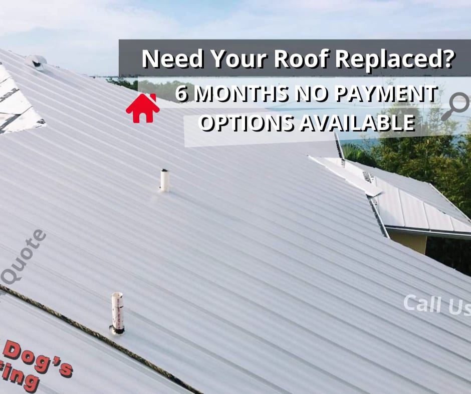 Red Dog's Roofing of Florida, photo 3