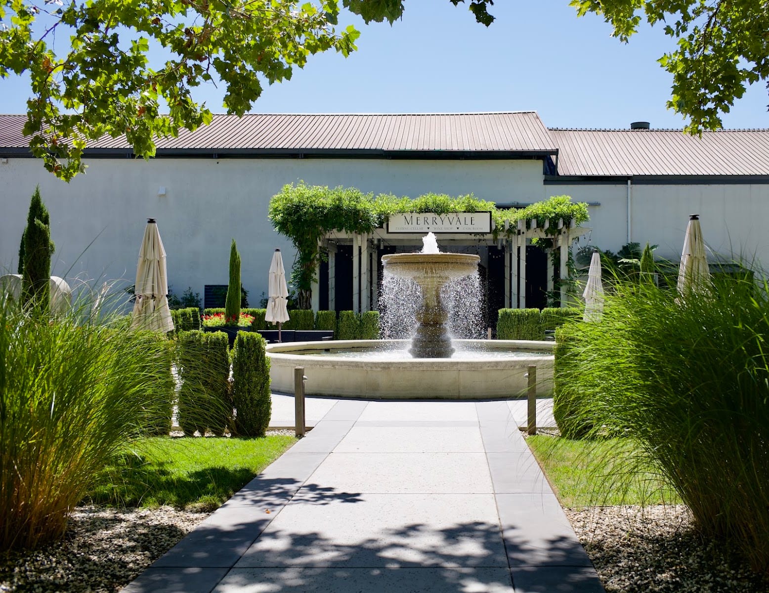 Merryvale Vineyards, photo 4