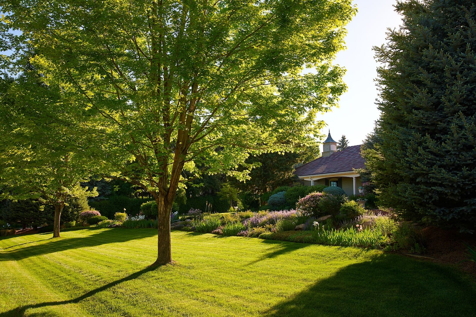 Designscapes Colorado Inc, photo 4
