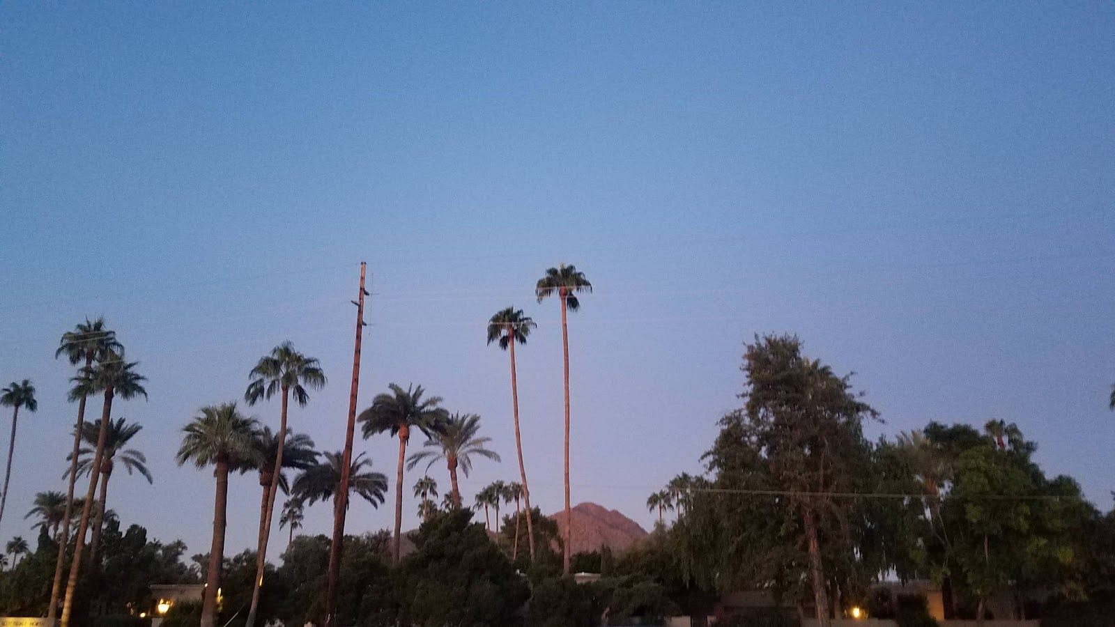 Scottsdale Criminal Lawyer