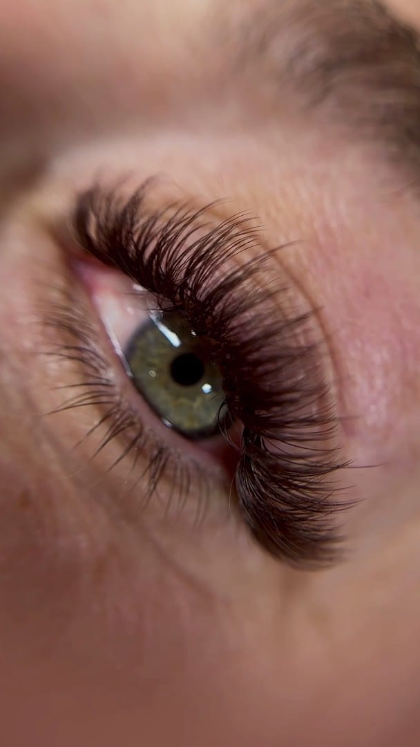 Saratoga Lashes, photo 2