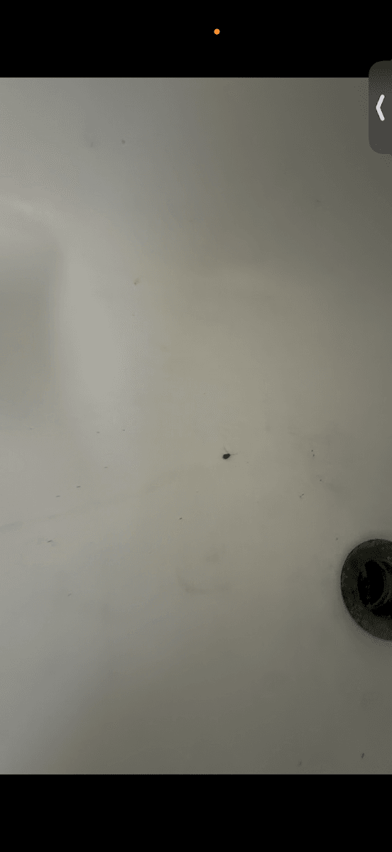TEK Property Management, photo 2