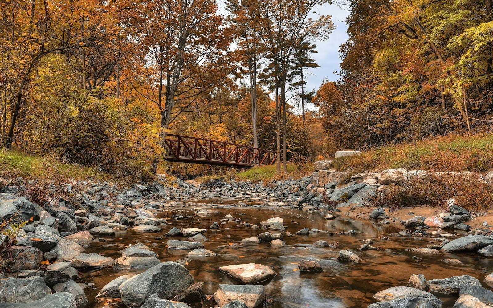 Wilket Creek Park#3