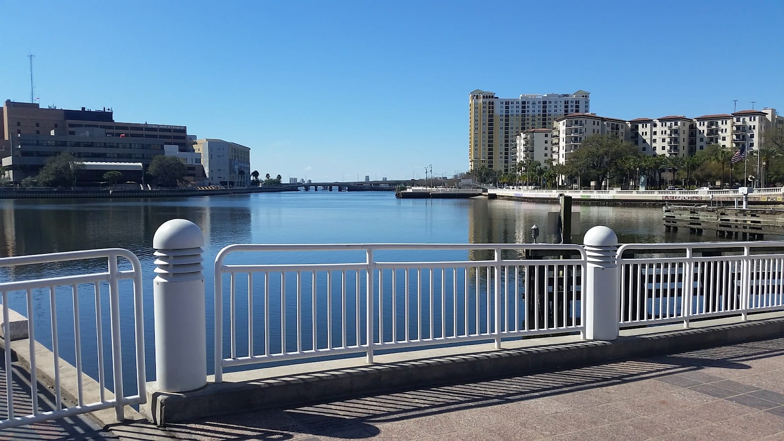 University of South Florida Park on the Riverwalk, photo 3