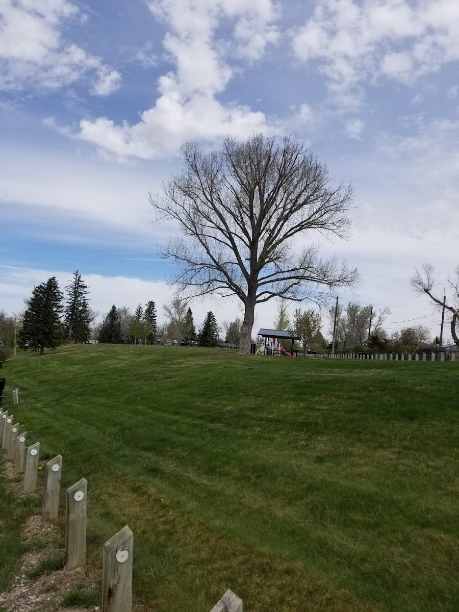 Meadow Park