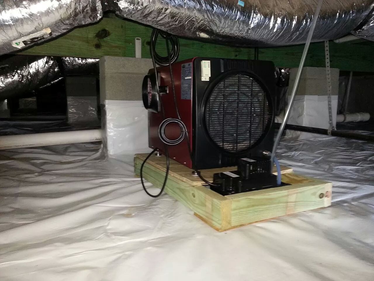 Bug-Man Pest Service, photo 3