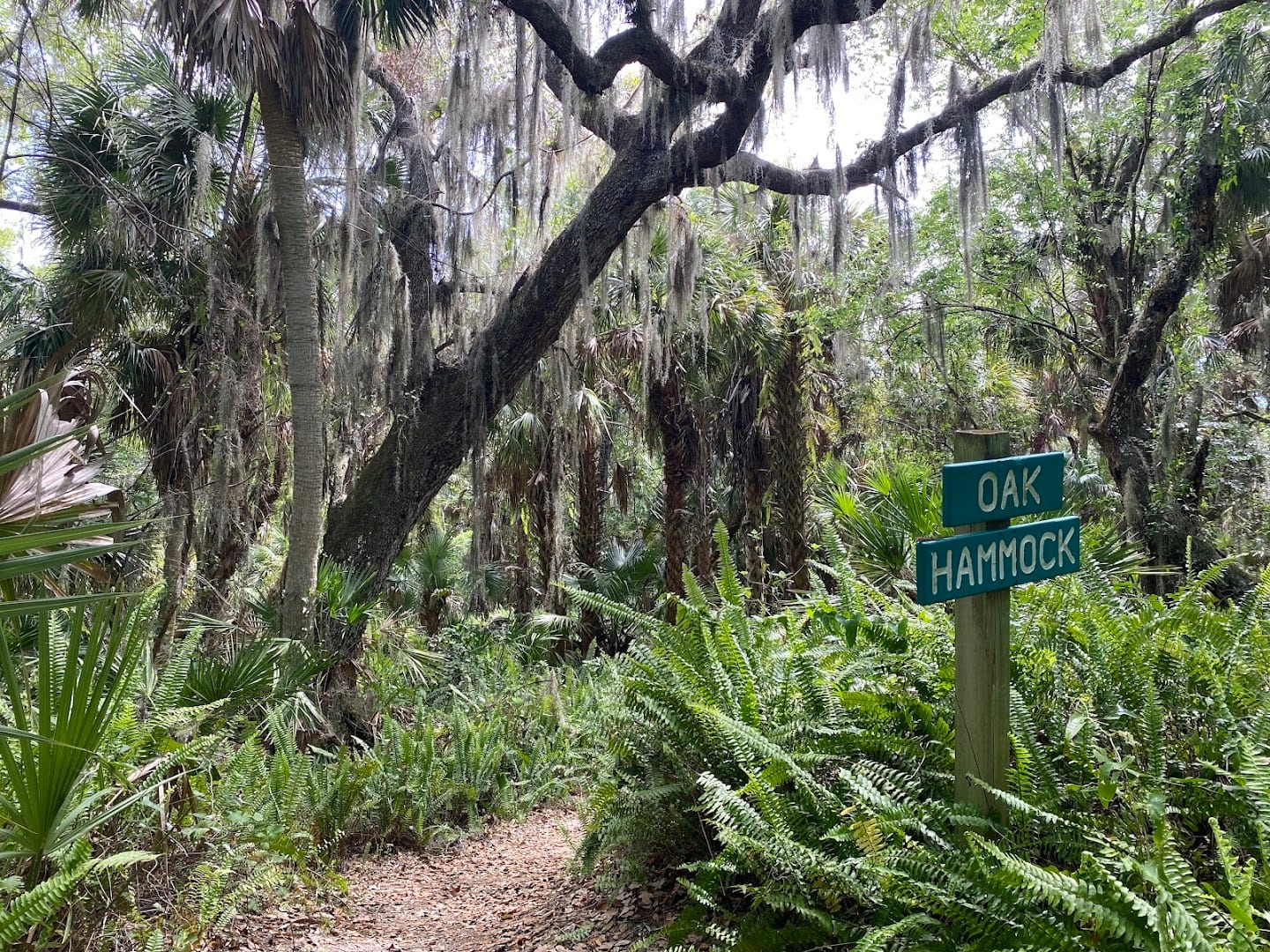 Audubon-Pennington Nature Park