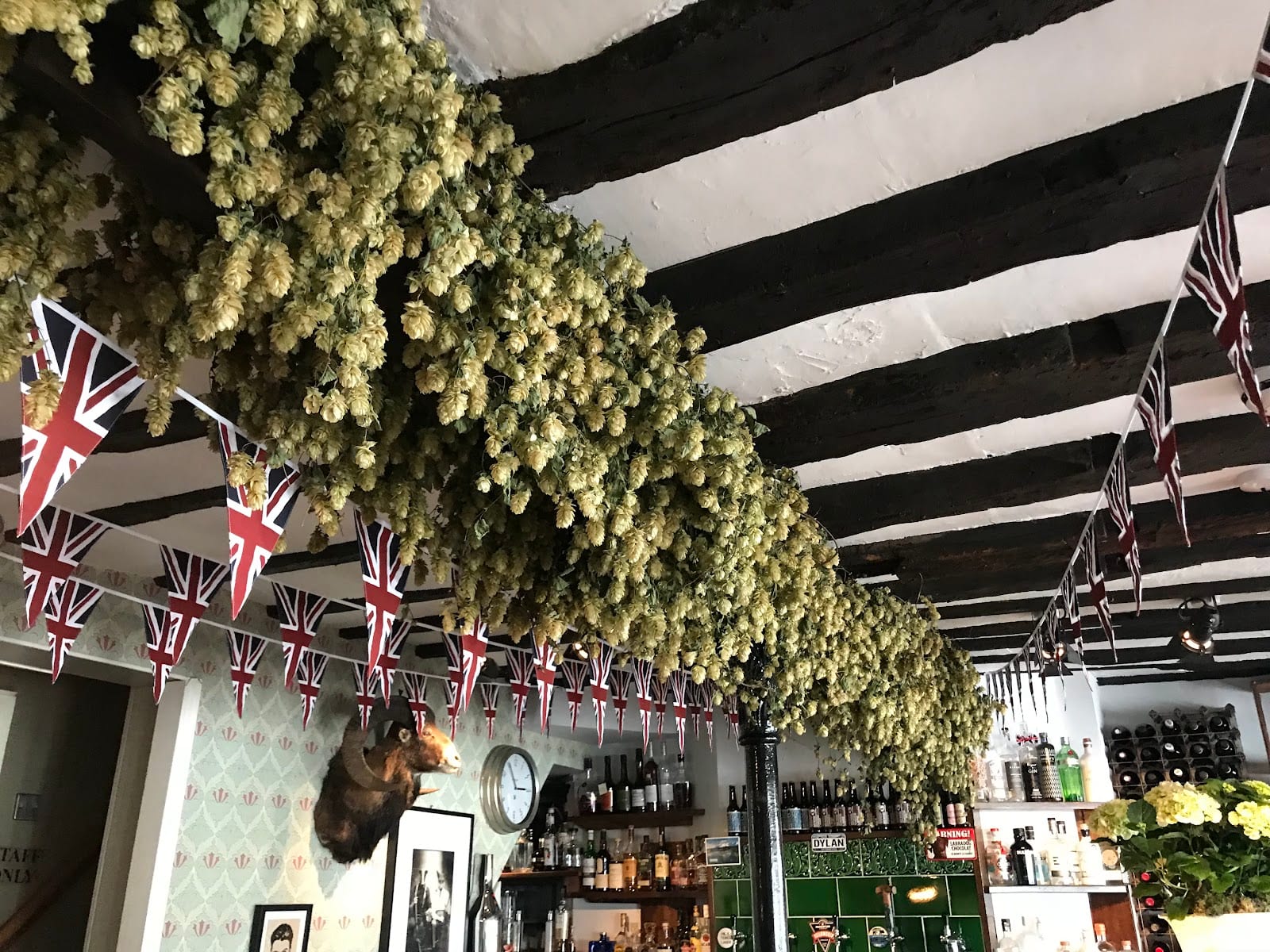 Dylans at The Kings Arms, photo 2