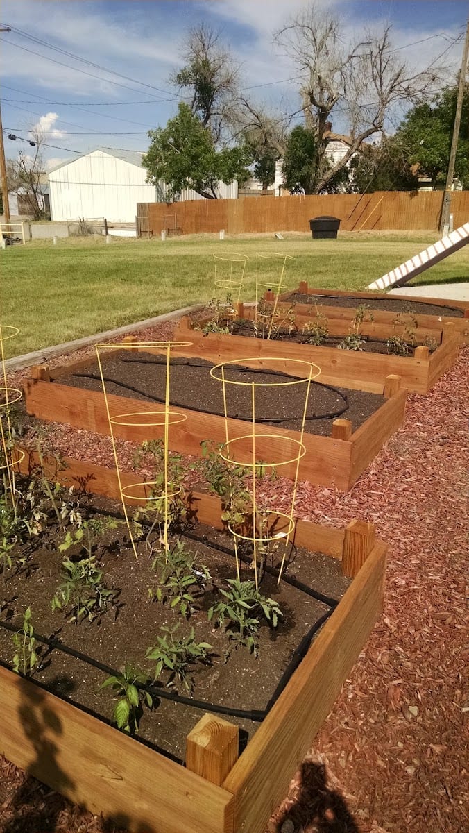 Dallason Park, photo 2