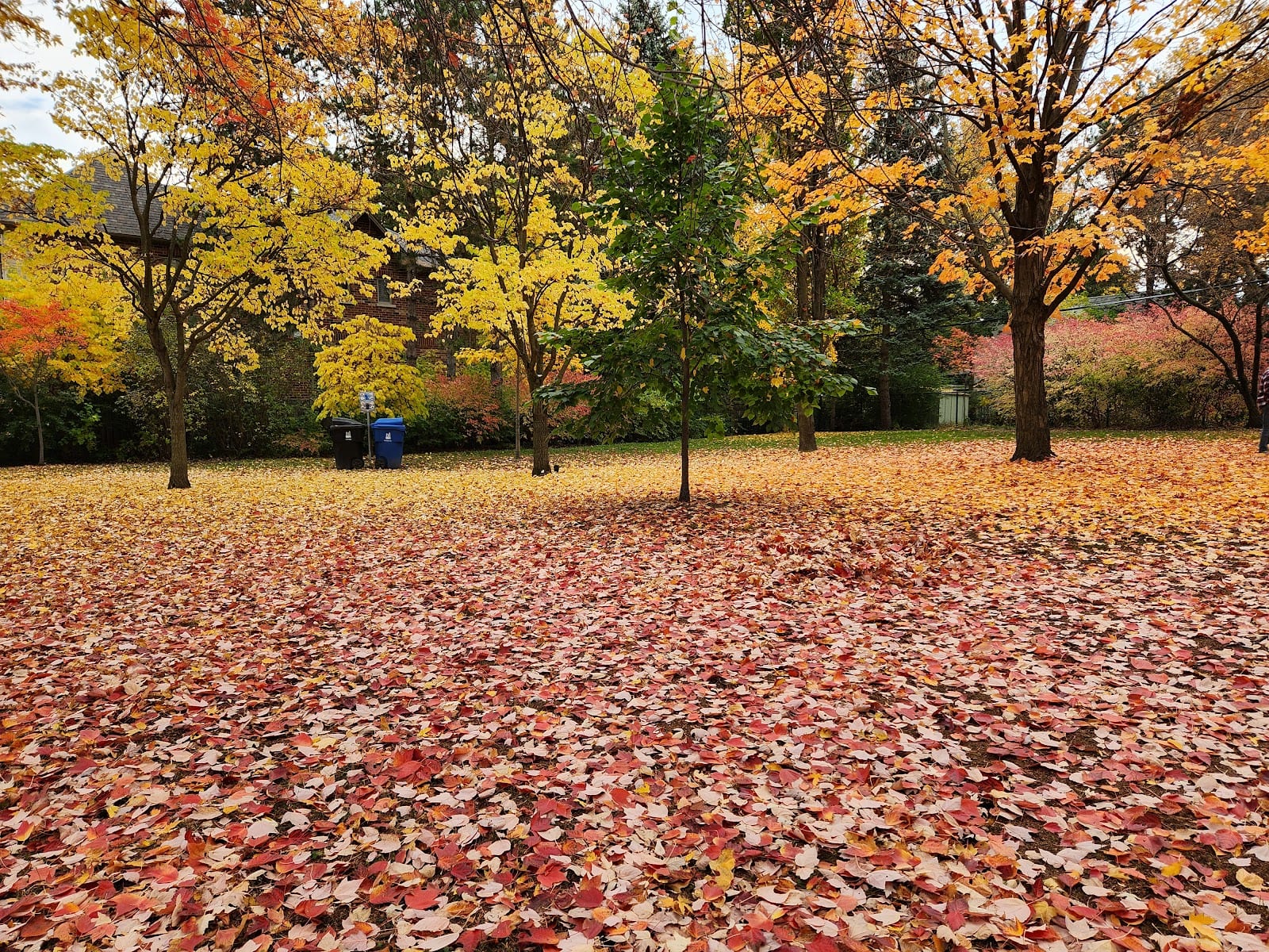 Horsham Park