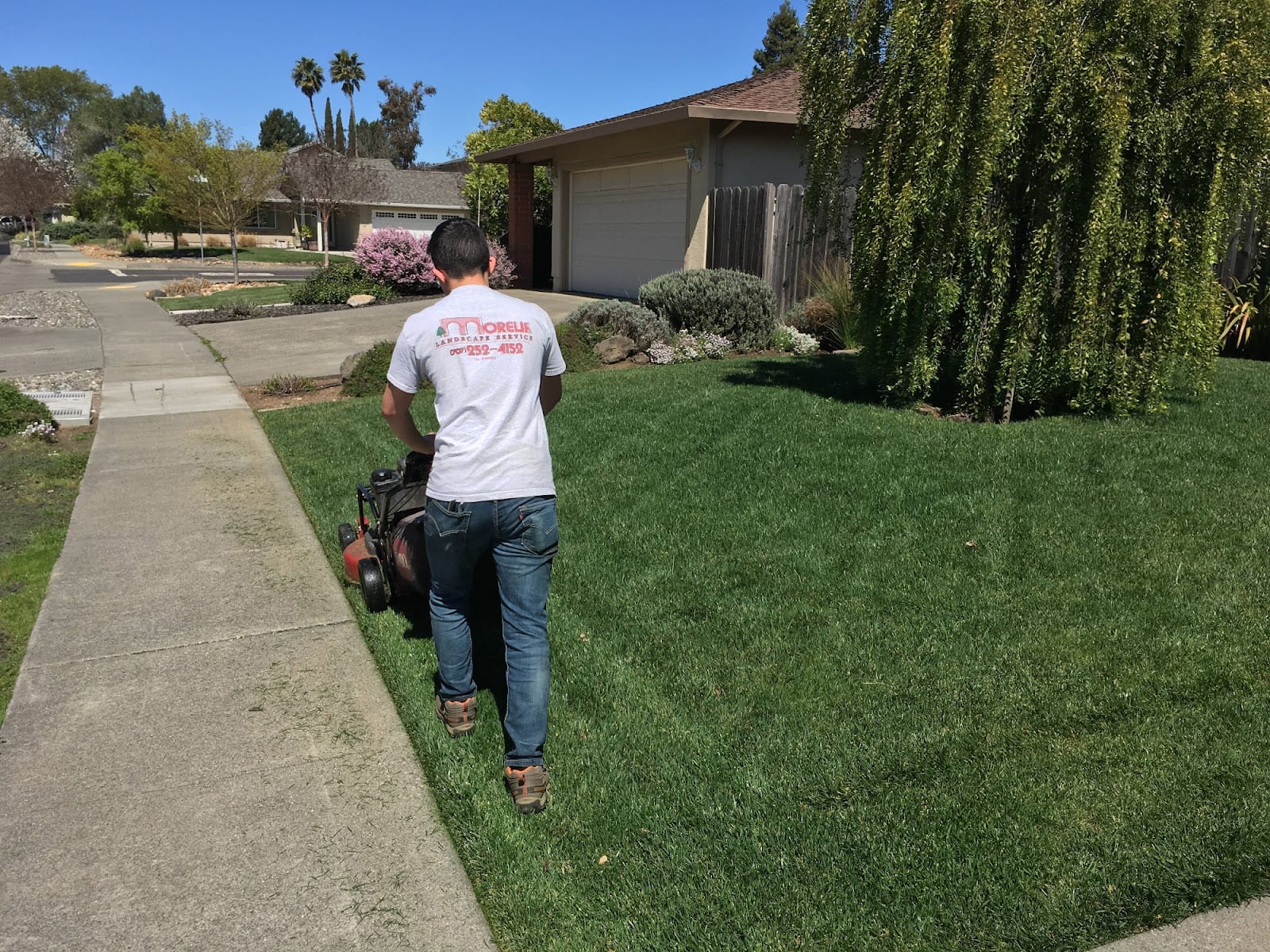 Morella Landscape Service, photo 2