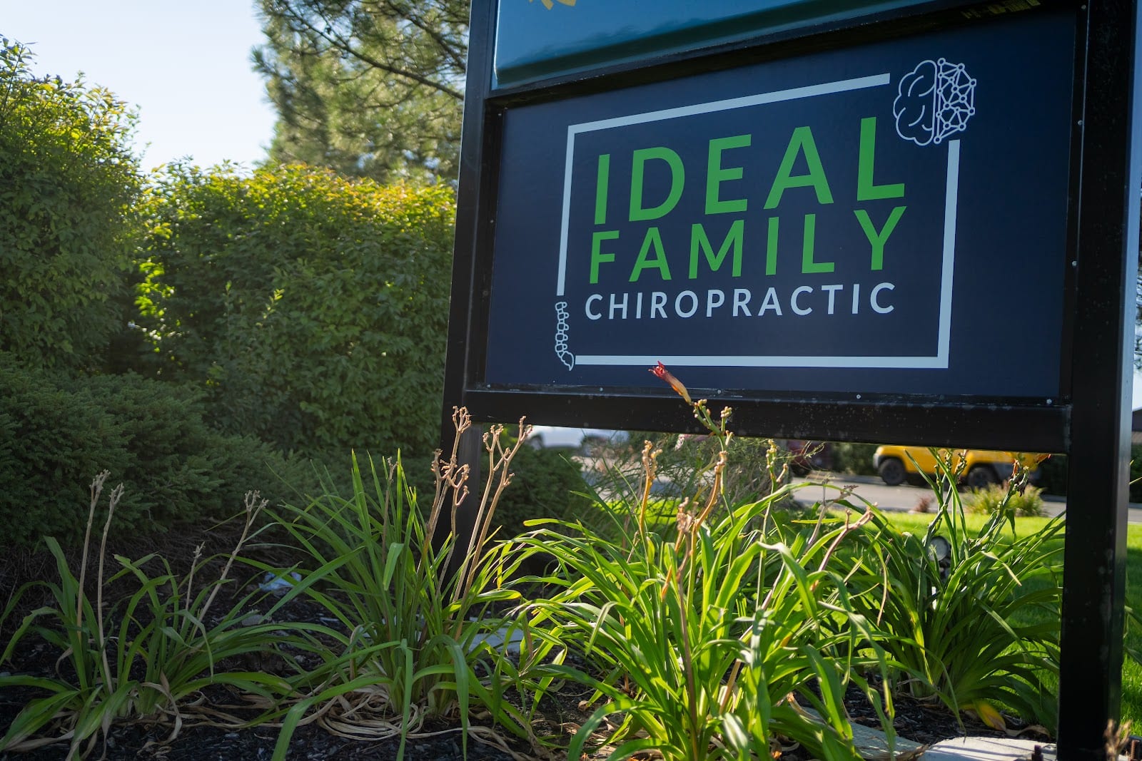 Ideal Family Chiropractic, photo 3