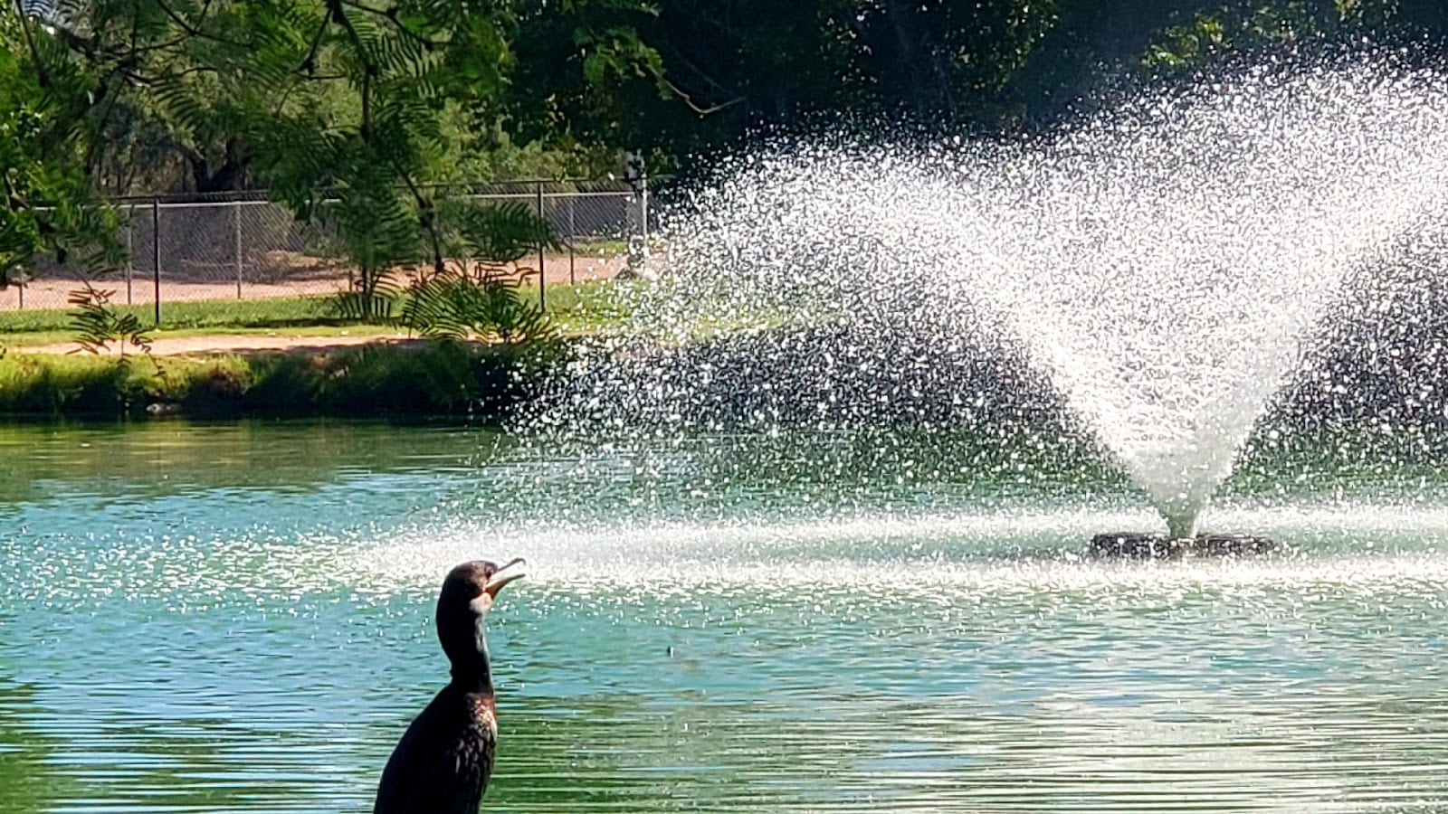 Fort Lowell Park, photo 2
