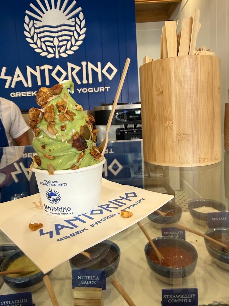 Santorino Greek Frozen Yogurt, photo 4