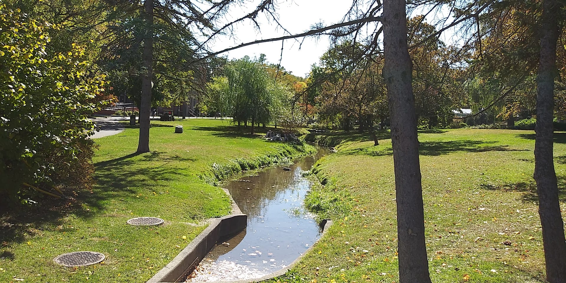 Hathorn Stream
