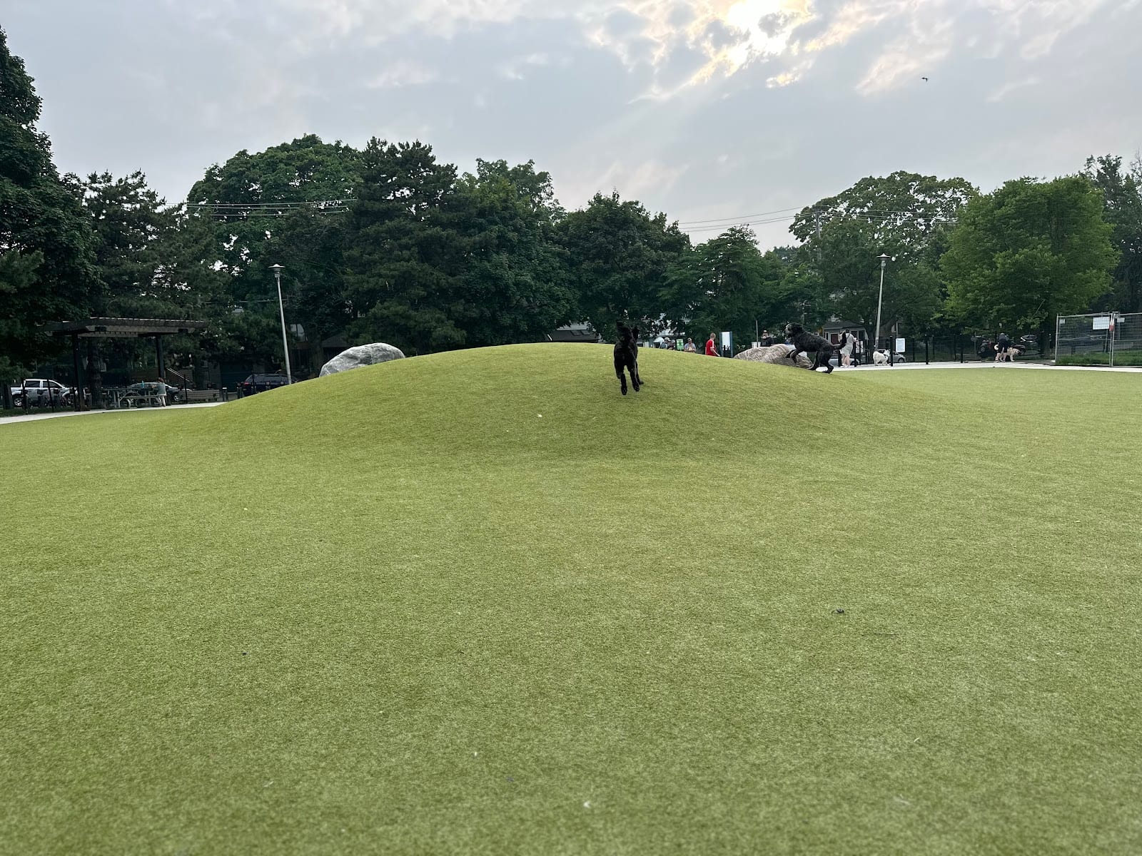 Greenwood Dog Park