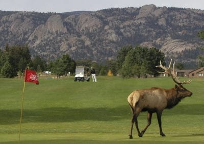 Abbey Pontius, Anderson Realty & Management and Estes Park Rentals.com, photo 4