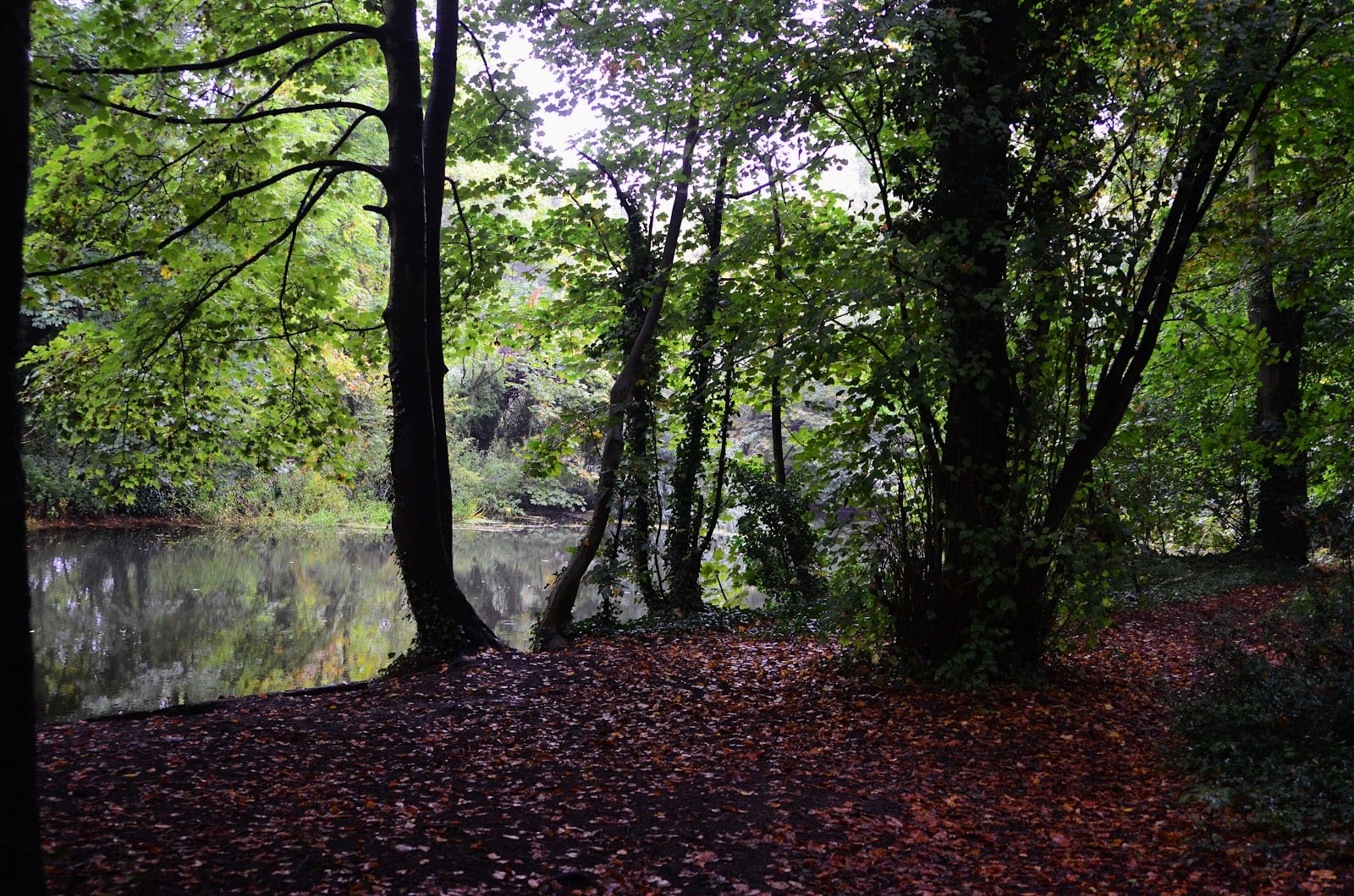 Woodlands Park