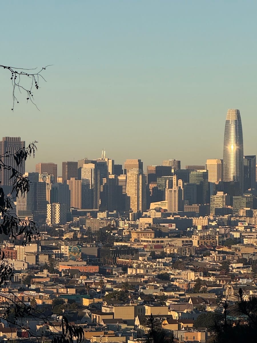 Dream SF Real Estate