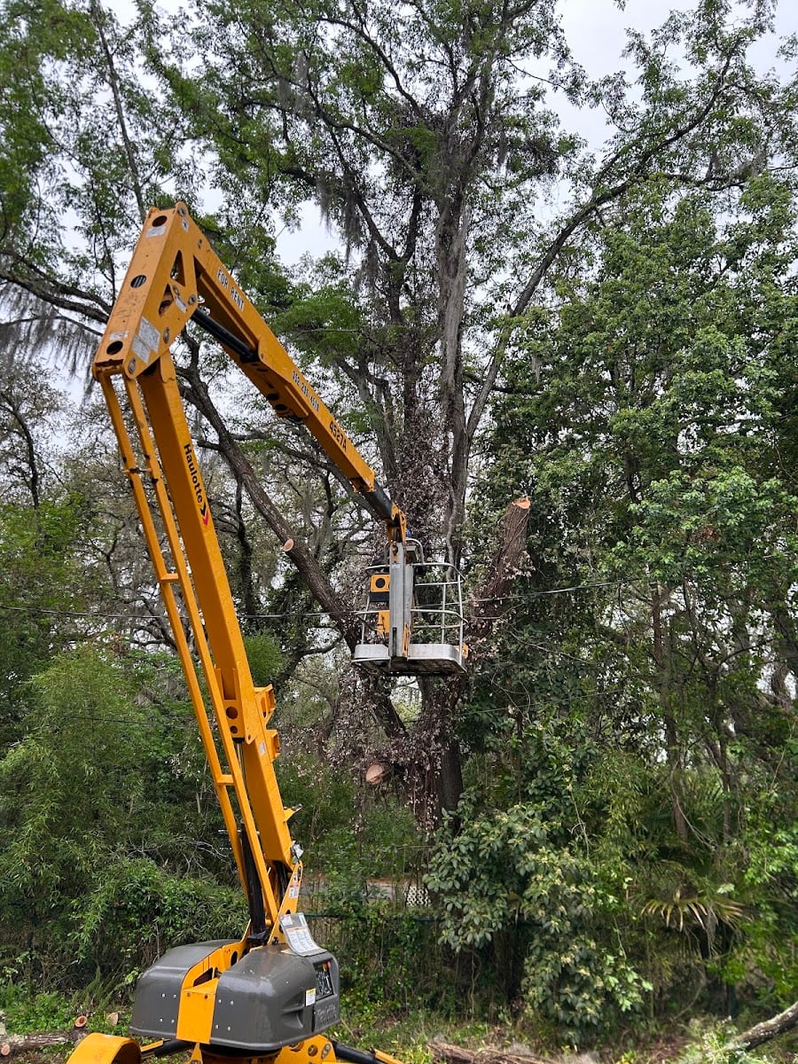 Patriot Trees And More LLC, photo 4