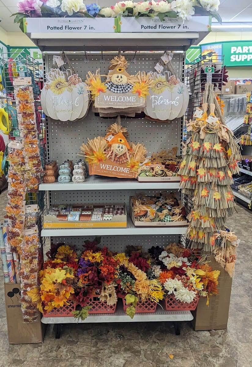 Dollar Tree, photo 4