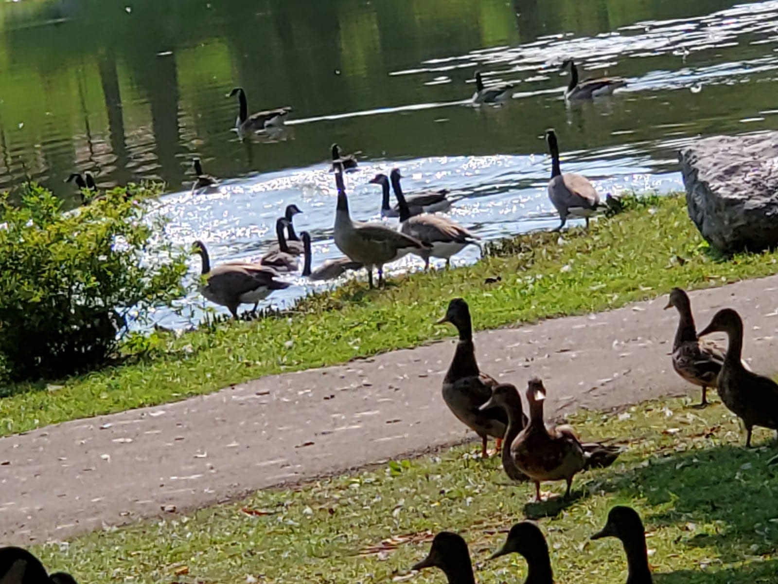 Seneca Park
