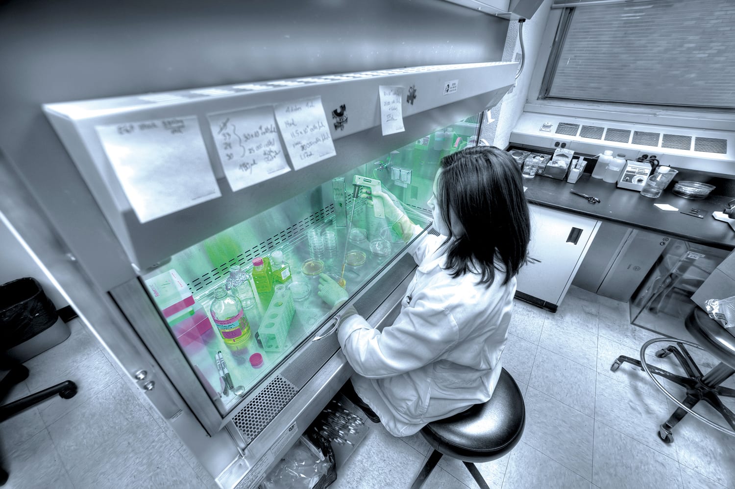 FanAm, Inc., photo 2