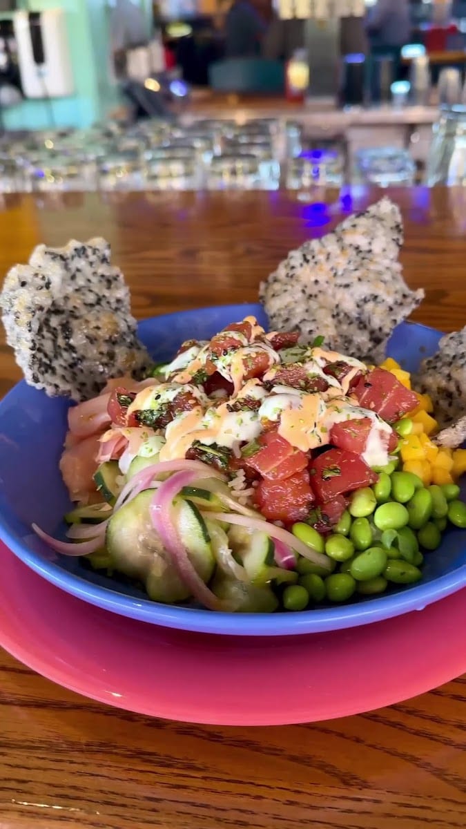 Wipeout Bar & Grill, photo 3