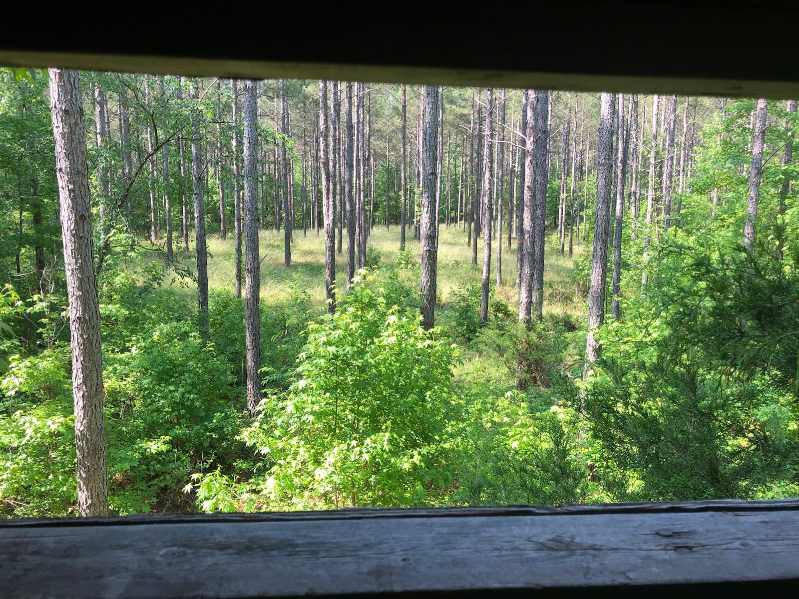 Rundorff Land Realty, photo 4