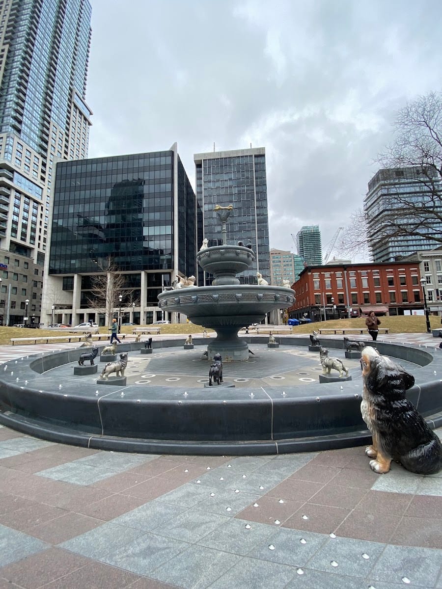 Dog Park at Winston Churchill Park