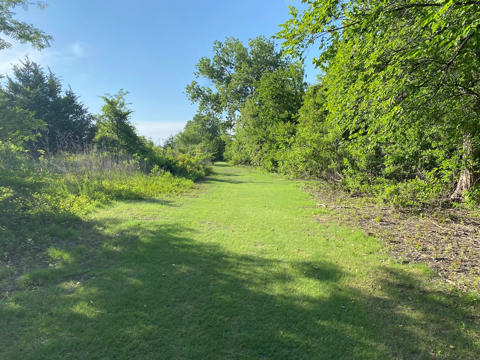 Cottonwood Park Nature Trail, photo 3