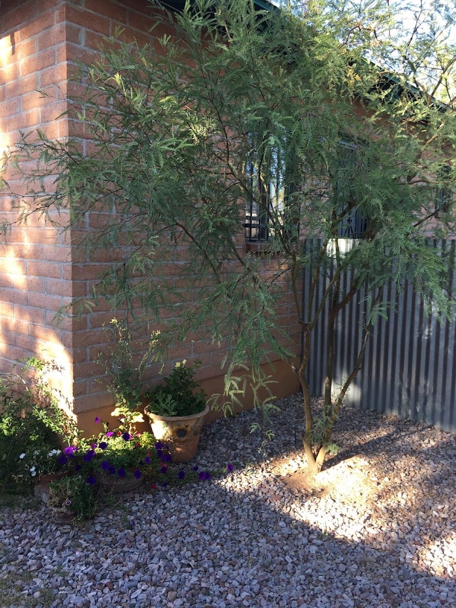 Southwestern Therapeutic Massage, photo 3