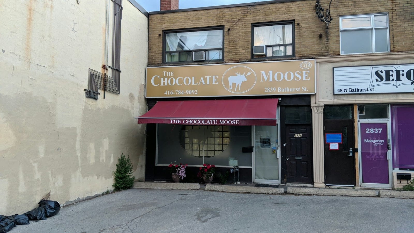 The Chocolate Moose