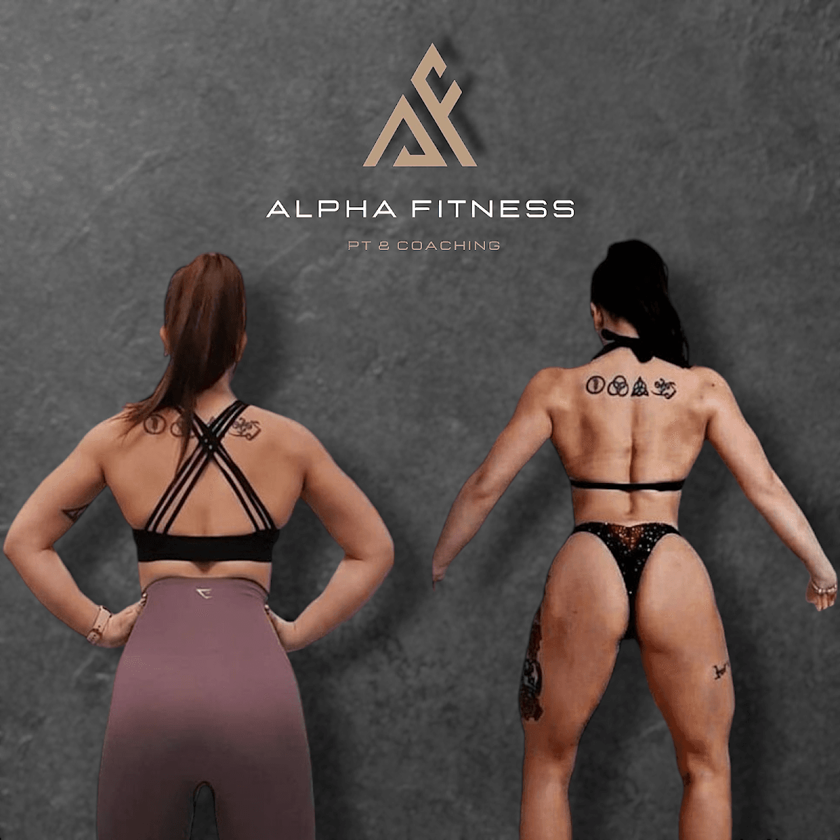Alpha Fitness PT, photo 4