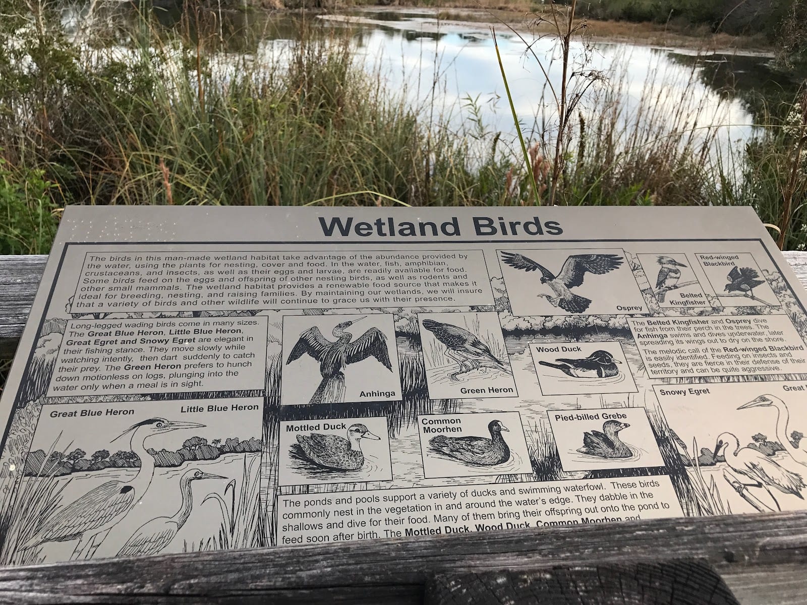 Stoneybrook Nature Trail