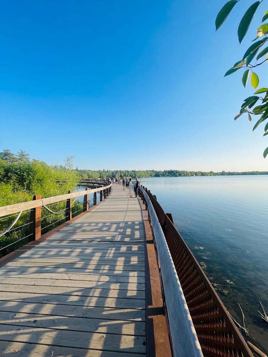 Sunset Boardwalk, photo 2