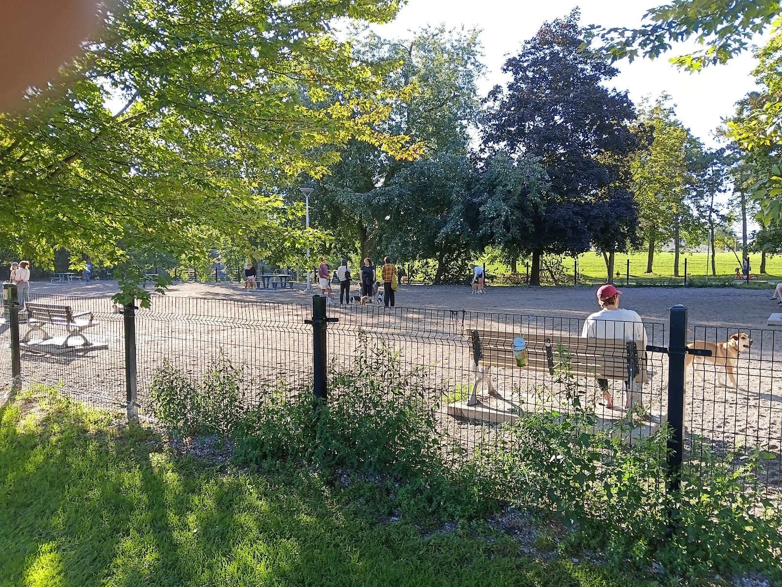 Stanley Off Leash Dog Park