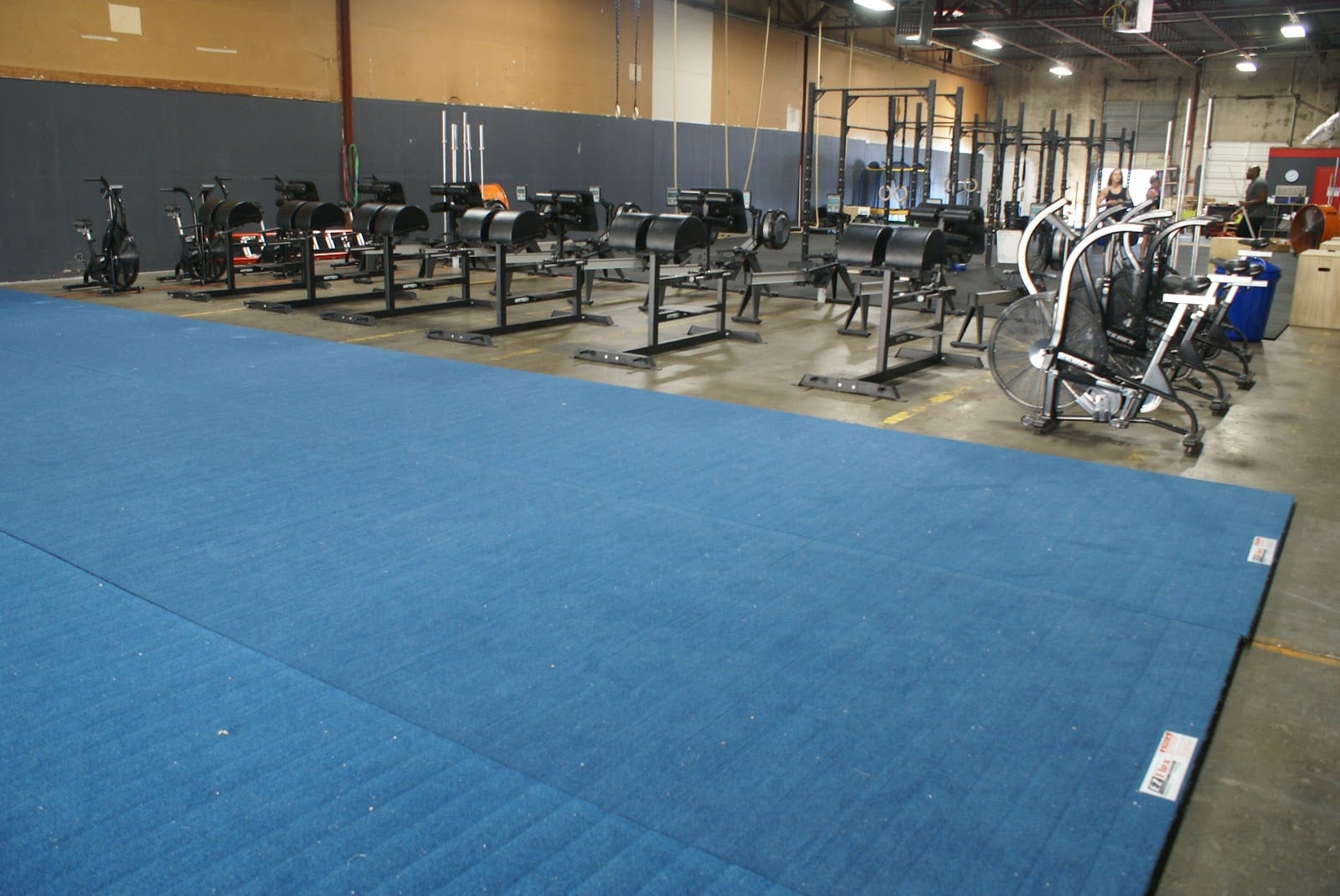 Alpha Athletics