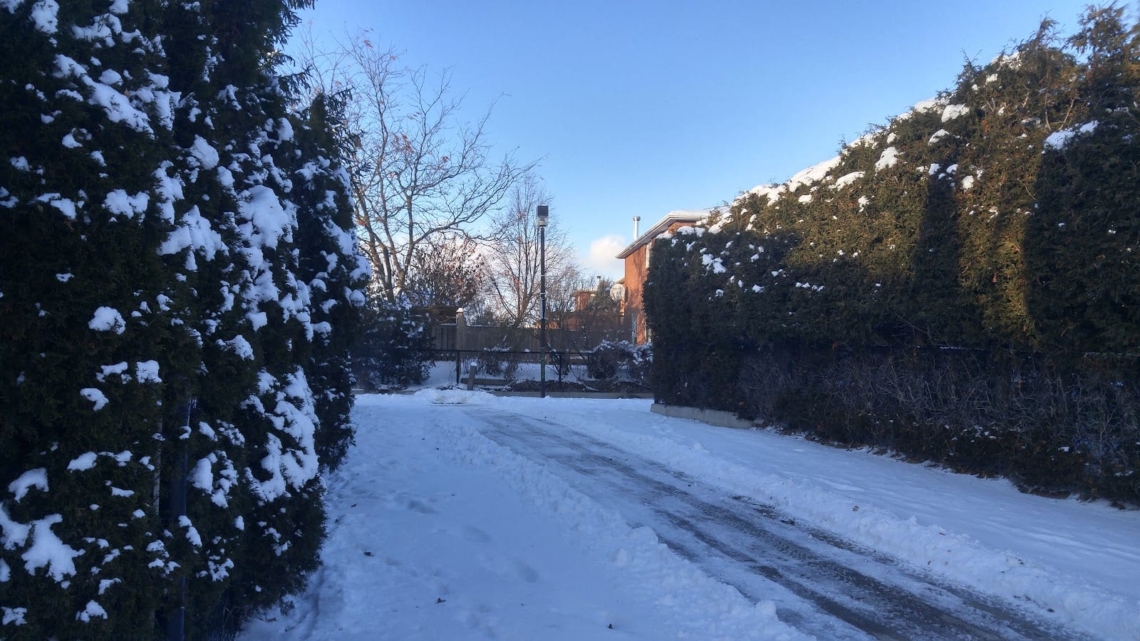 Winbourne Park