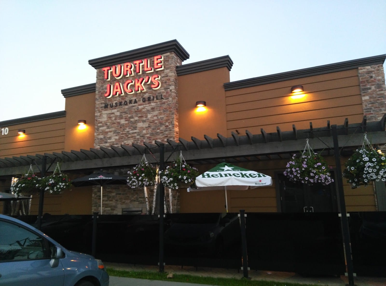 Turtle Jack's Vogell