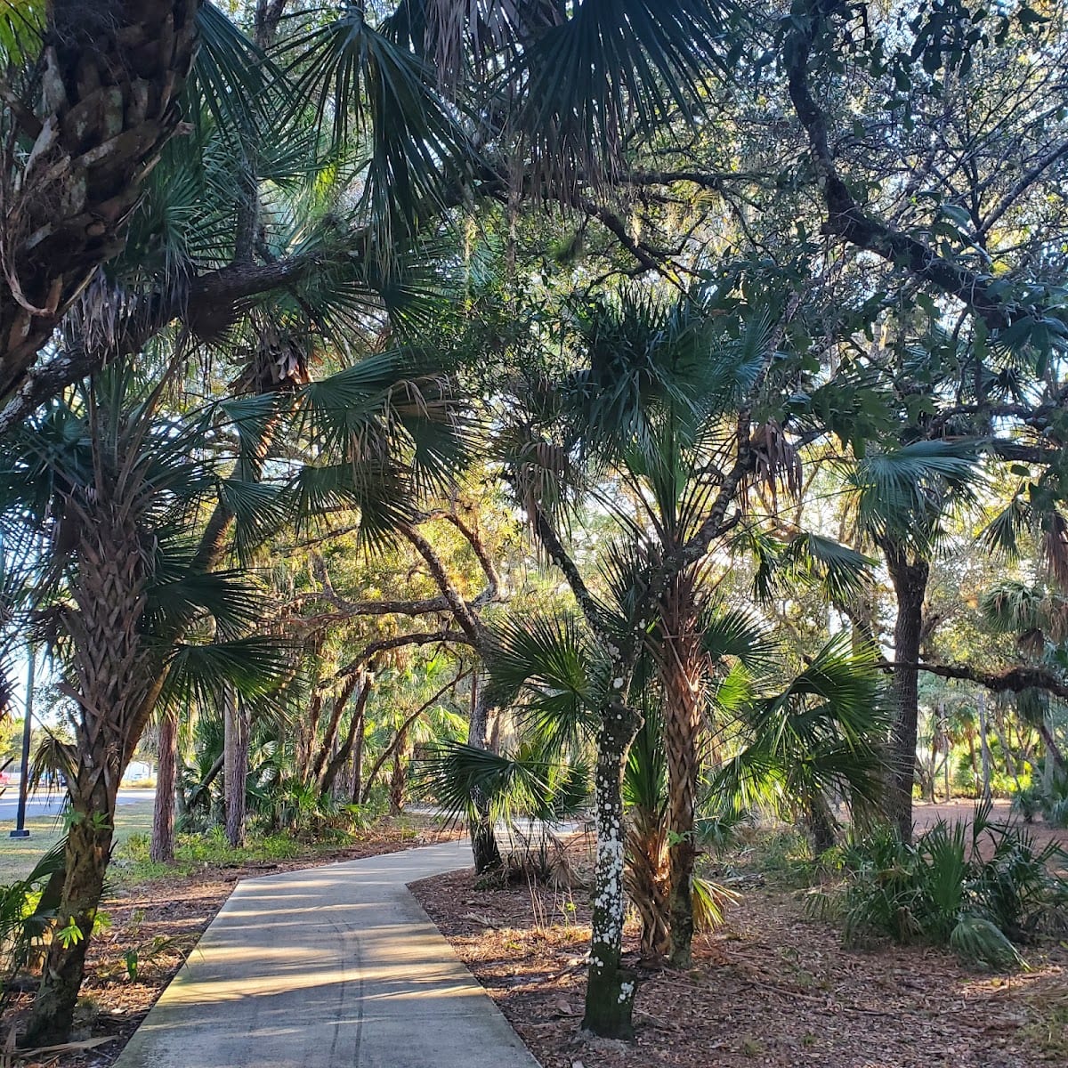 Centennial Park, photo 3