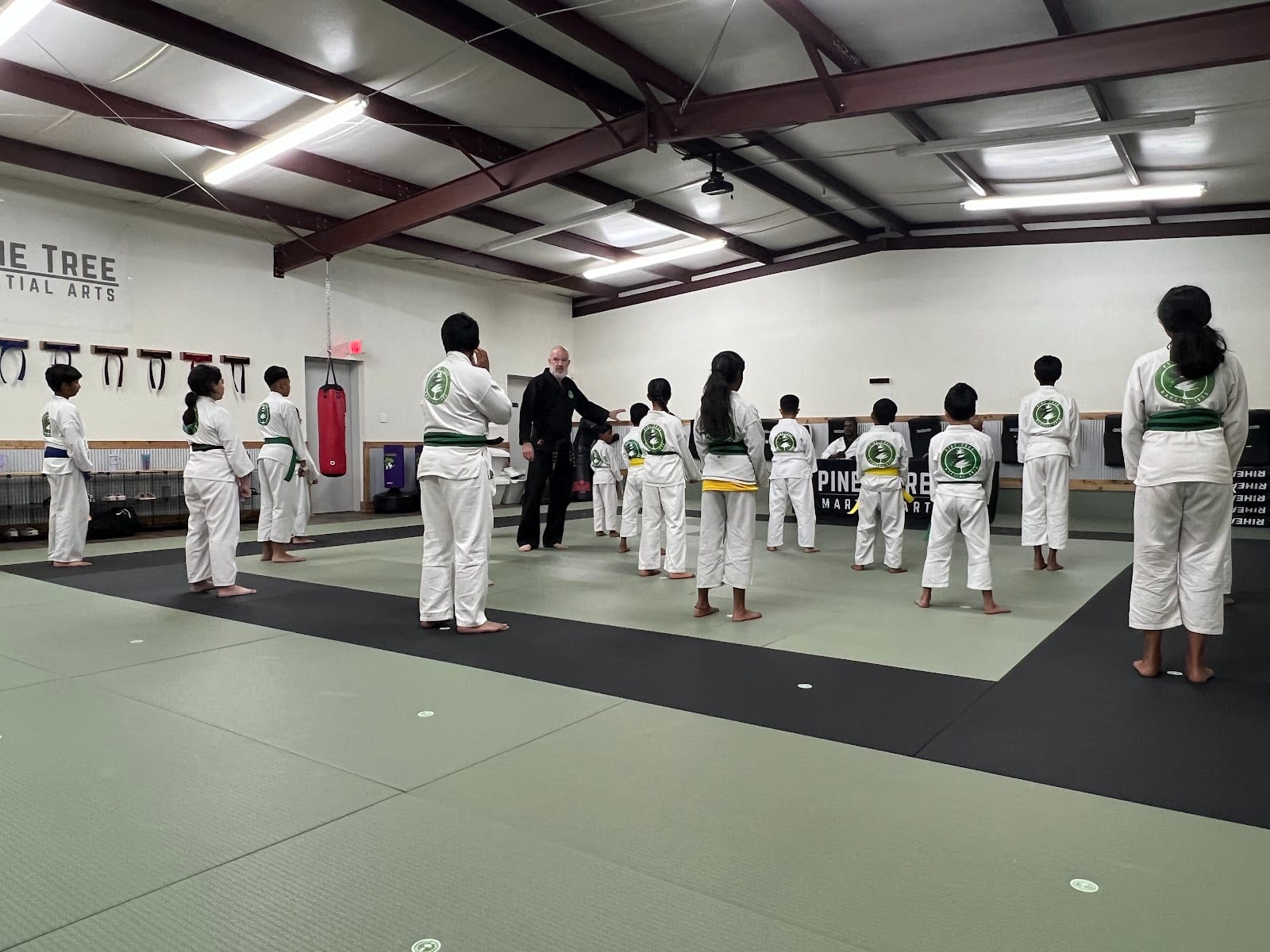 Pine Tree Martial Arts, photo 3