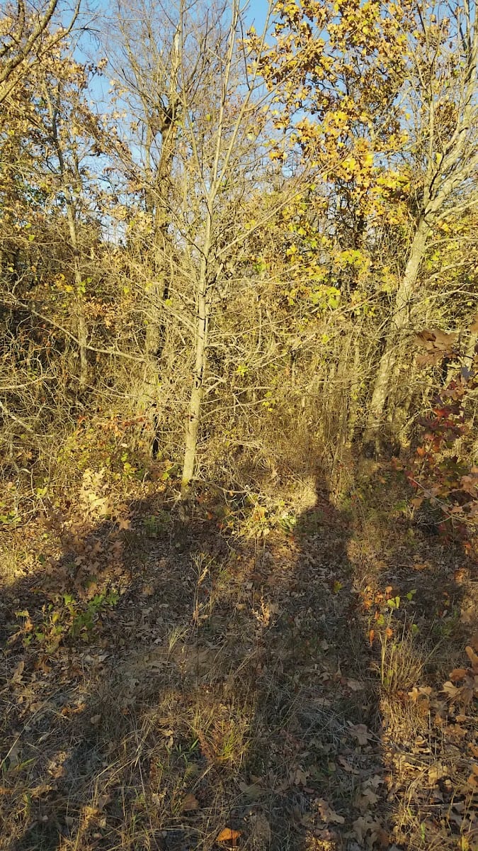 Cross Timbers Park, photo 3