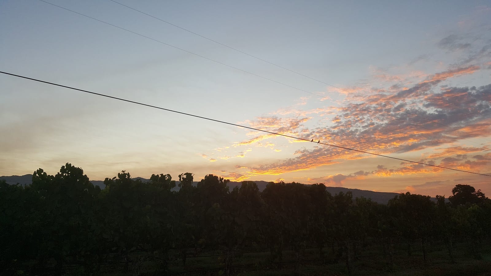 Trubody Ranch, photo 2