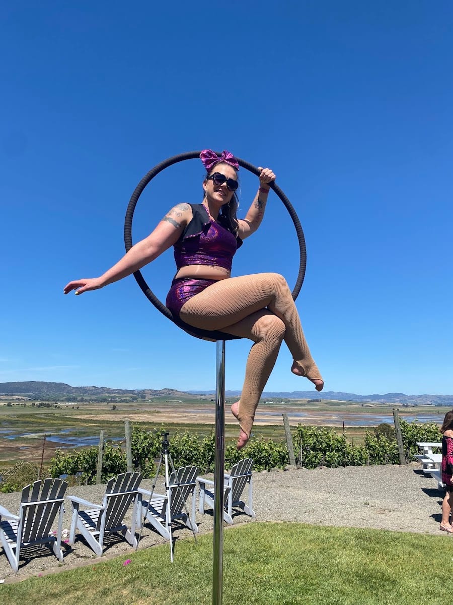 Napa Aerial Fitness, photo 3