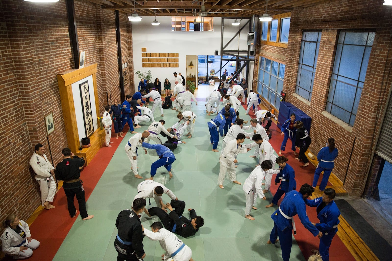 ALLIANCE BJJ SF Bay